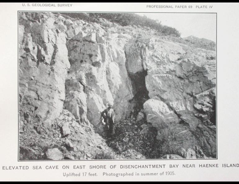 A photo showing shoreline uplifted during a massive 1899 earthquake near Yakutat.