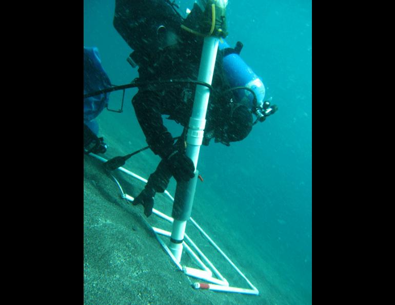  A diver samples the sands offshore of Kasatochi Island in June 2009. Photo by Héloïse Chenelot.