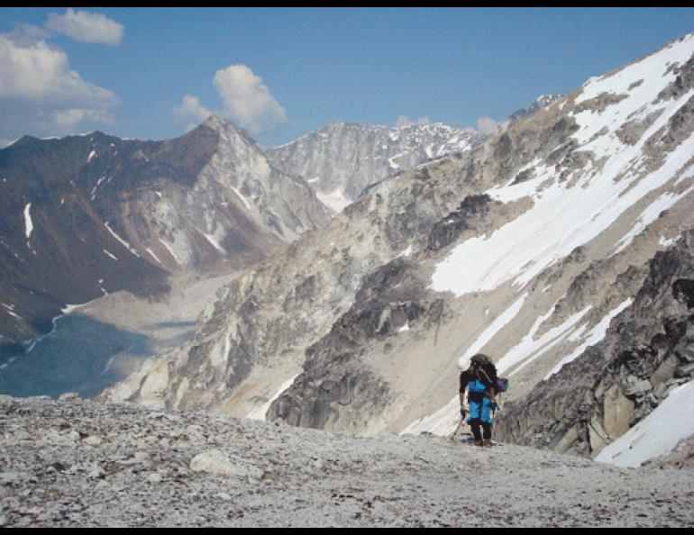 Helping geologist Jeff Benowitz, Andy Sterns of Fairbanks carries a pack full of rock samples near Nenana Glacier in the Alaska Range. Photo courtesy Jeff Benowitz.