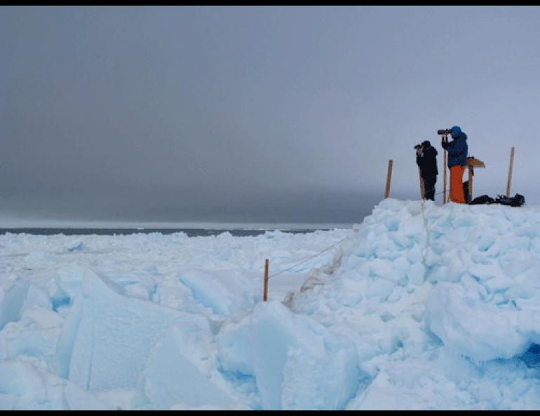 Biologists Leslie Pierce and Craig George search for migrating whales on an ice perch north of Barrow.