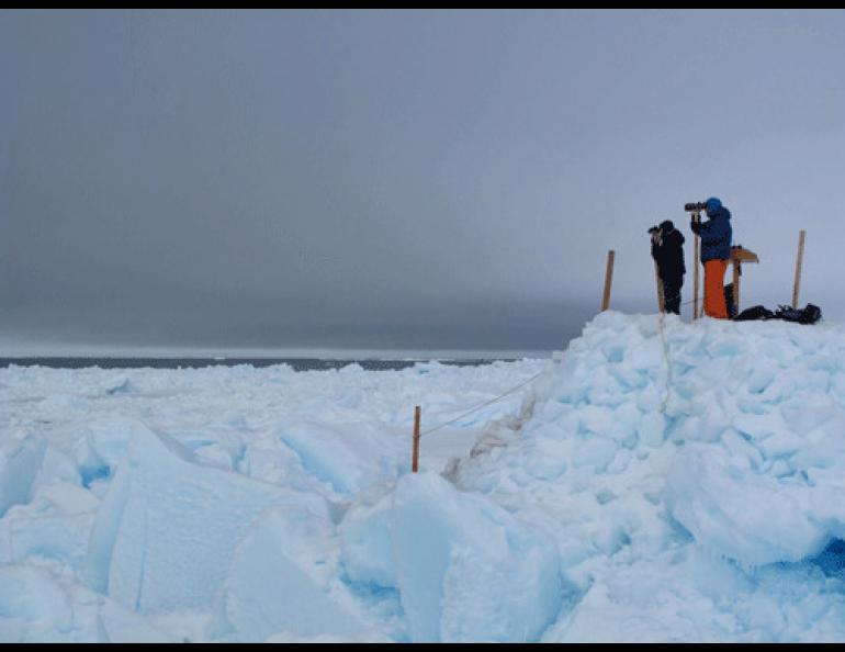  Biologists Leslie Pierce and Craig George search for migrating whales on an ice perch north of Barrow. 