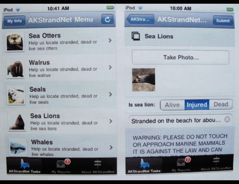 The screen images of a new iPhone application that will allow people to alert experts to marine mammals washed up on Alaska's shores. Ned Rozell photo.
