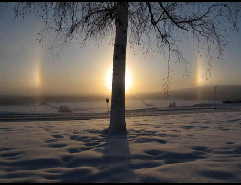  Sundogs visible from Fairbanks in mid-November, 2010. Photo by Ned Rozell