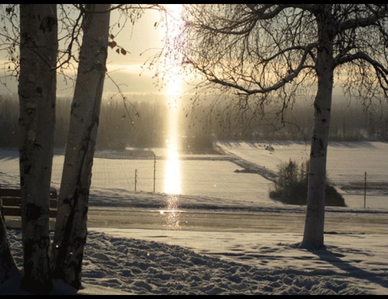 A pillar of light shines downward from the sun because of its reflection off falling ice crystals. Photo by Ned Rozell