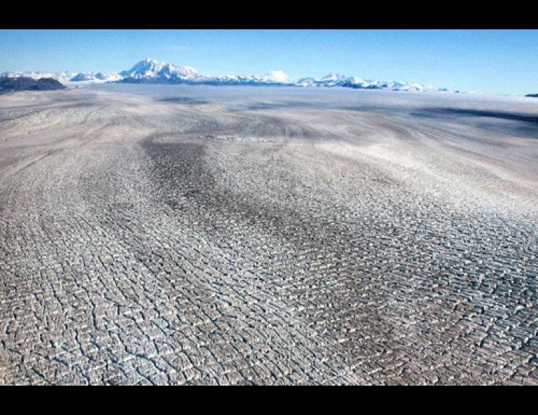 The cracked-up back of surging Bering Glacier, taken in early fall 2009 about 10 glacier miles upstream from where it ends at Vitus Lake. The whitish mountain in the far background is Mount Saint Elias. Photo by Chris Larsen.