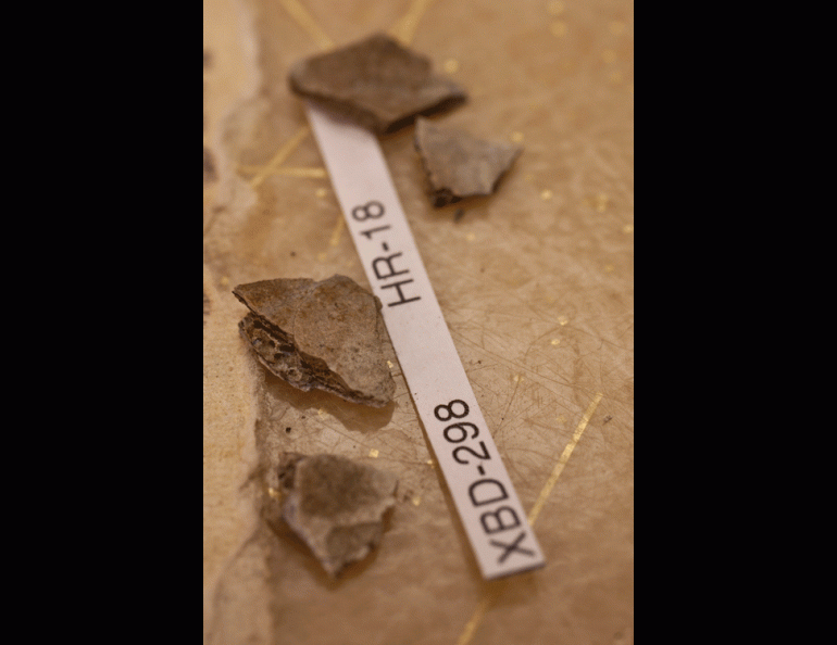 Bone fragments from a three-year old who died 11,500 years ago in the Tanana Valley.