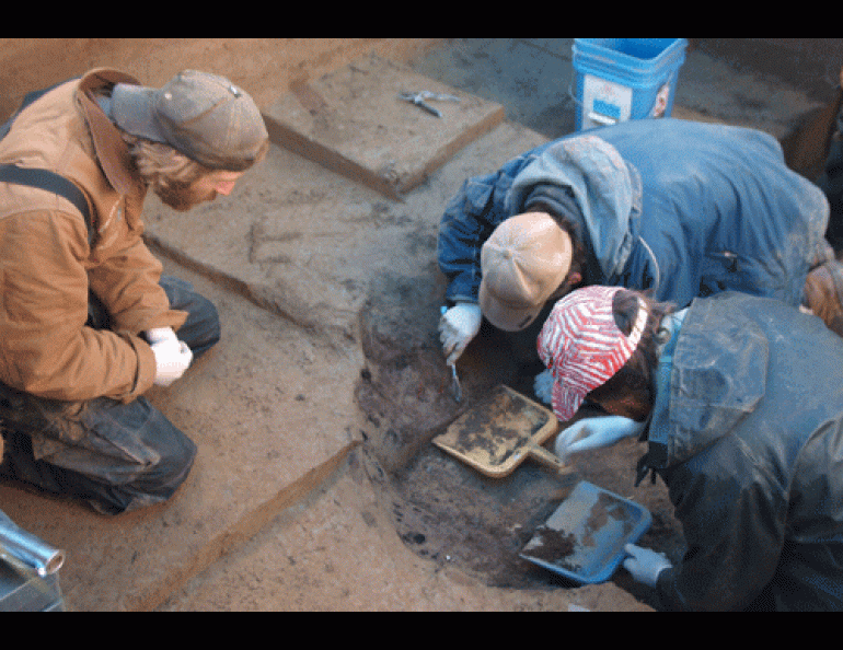 From left, Josh Reuther, Ben Potter and Joel Irish excavate the burial pit at the Upward Sun River site near the Tanana River.