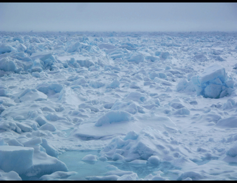 Sea ice north of Barrow. Photo by Ned Rozell.