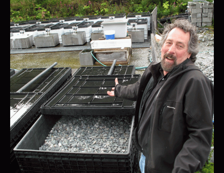 Hatchery manager Gary Martinek shows a “salmon incubator” at the Gulkana Hatchery, where many Copper River red salmon are born. Photo by Ned Rozell