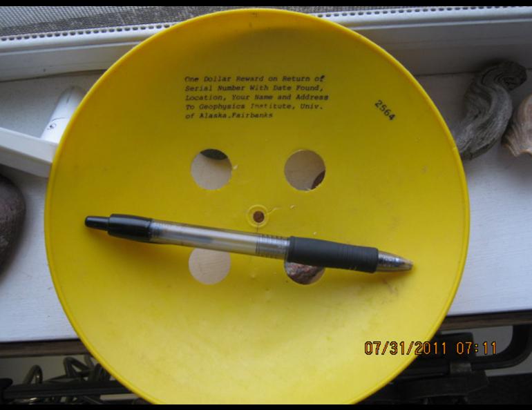 A plastic disc from an experiment 30 years ago, found by Paul Boots on Alaska’s North Slope in late July 2011. Photos by Paul Boots.