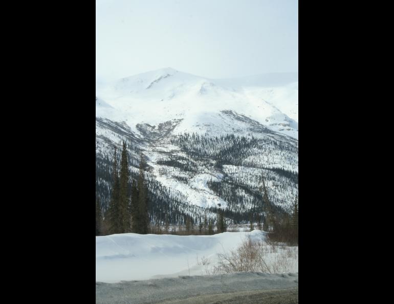 A “debris flow” creeping down the southern Brooks Range toward the Dalton Highway. Photo by Ronald Daanen.