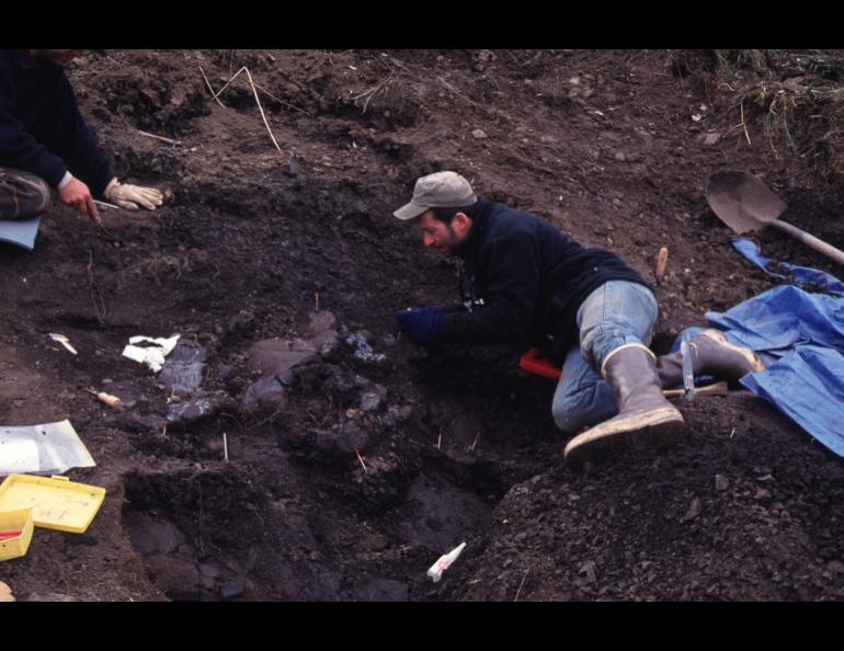 Dinosaur hunters digging out Nanuqsaurus hoglundi.