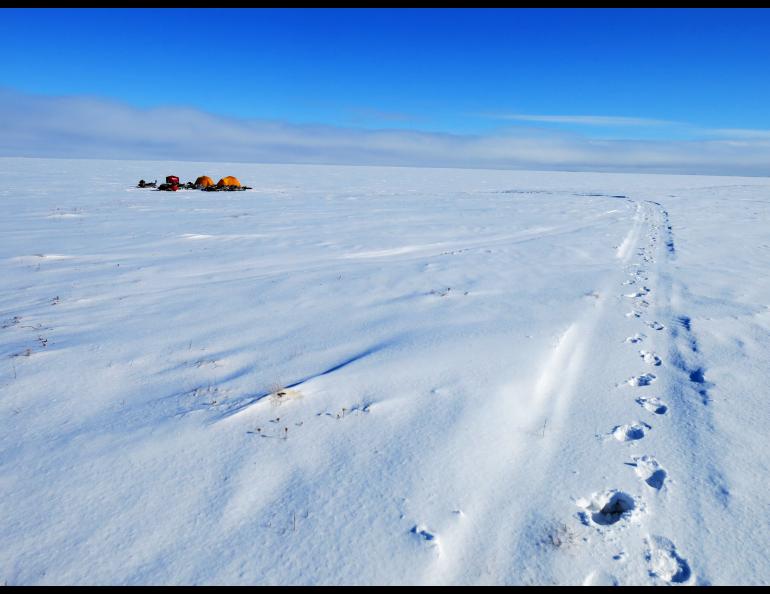 A trail of footprints in the snow. In the distance just snow is seen for miles.