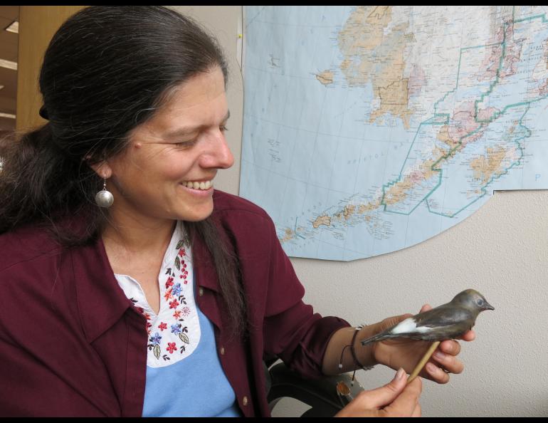Biologist Julie Hagelin with a decoy olive-sided flycatcher made with a 3-D printer.
