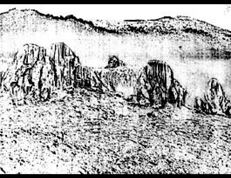 Granite Tors near Chena Hot Springs. The spires extend up to 100 feet above the near-level cryoplanation terraces. Photo by A. F. Weber.