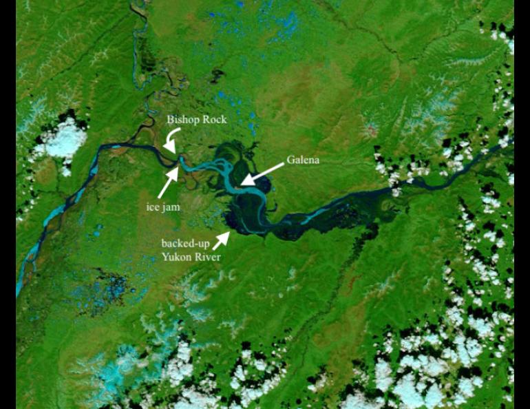 NASA’s Terra satellite captured this image of the flooded Yukon River on May 28, 2013. An ice jam at Bishop Rock backed water into the village of Galena, swamping much of the town with 7 feet of water for several days. NASA image courtesy LANCE MODIS Rapid Response.