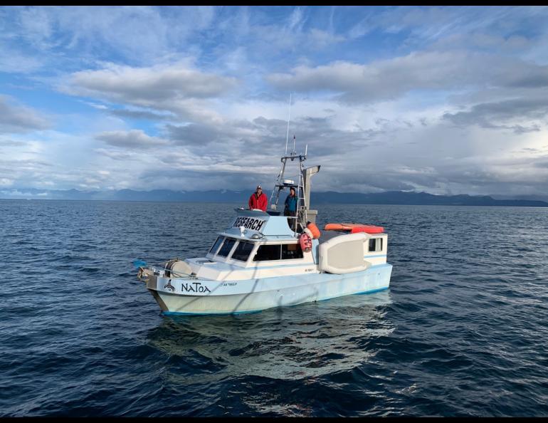 Hannah Myers and Dan Olsen aboard the killer-whale research vessel Natoa. Photo by David Janka.