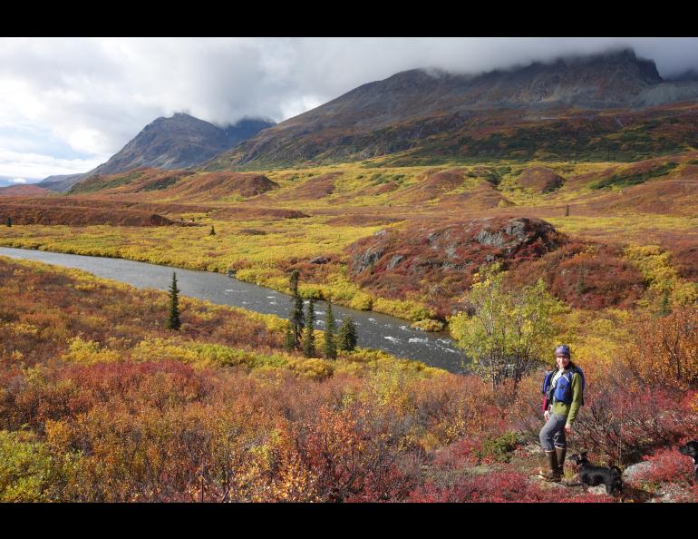 Kristen Rozell on the portage to a boater’s route along the Delta River in the middle of Alaska. Photo by Ned Rozell.