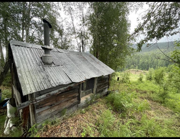 A lone building remains at the townsite of Meehan, a gold rush mining community north of Fairbanks. Photo by Ned Rozell.