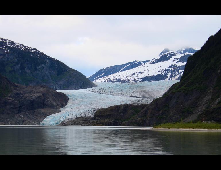 Mendenhall Glacier, here seen in summer 2025, has almost retreated entirely from the lake of its own making. Photo by David Polashenski.