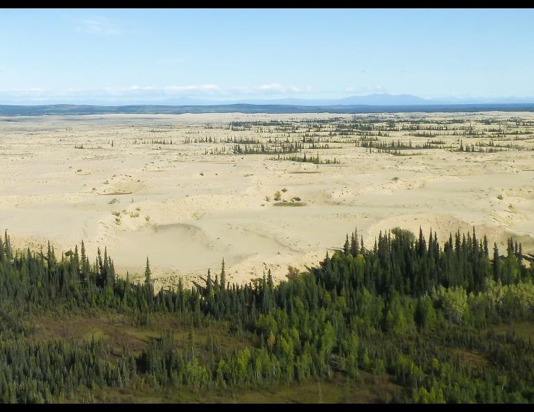 The Nogahabara Sand Dunes in the Koyukuk Wilderness Area west of the Koyukuk River and the villages of Hughes and Huslia. Photo by Keith Ramos, U.S. Fish and Wildlife Service.