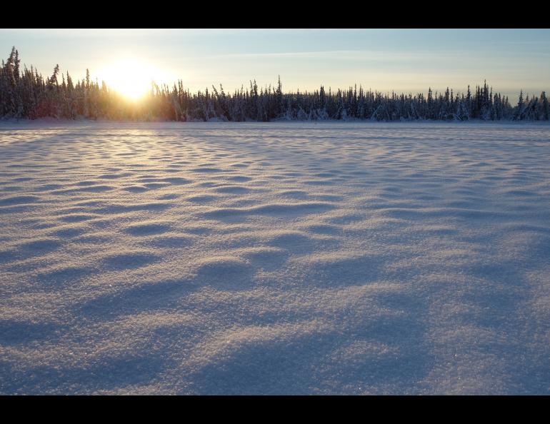 The late-November sun over a Fairbanks lake. Photo by Ned Rozell.