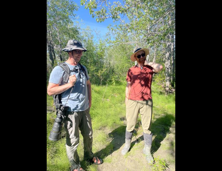 Seth Beaudreault, Toolik Field Station naturalist, and Tom Glass, Geophysical Institute postdoctoral researcher, prepare for an interview within a poplar stand. Photo by Sara Wilbur