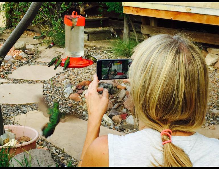 Sherry Simpson and hummingbirds at her home in New Mexico a few years ago. Photo by Scott Kiefer.