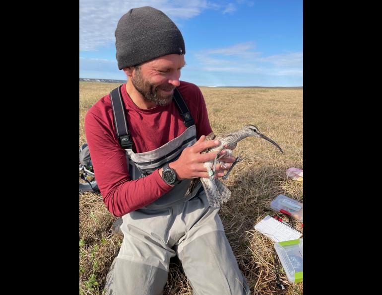 In 2021, the late Shiloh Schulte holds a whimbrel that nested above the Katakturuk River in northern Alaska. Photo by Kirsti Carr.