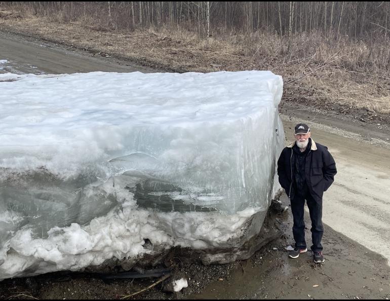 Eagle resident Steve Hamilton stands next to a block of Yukon River ice that the river lifted onto the 5-mile road between the town of Eagle and Eagle Village during an early river surge on May 12, 2023. Photo by Ned Rozell.