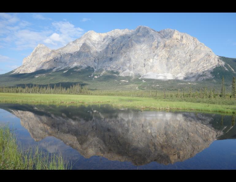 Sukakpak Mountain near Coldfoot, where researchers pulled wood cores from white spruce that showed poor growth in summer 1783, the year of a volcanic eruption in Iceland. Photo by Ned Rozell.