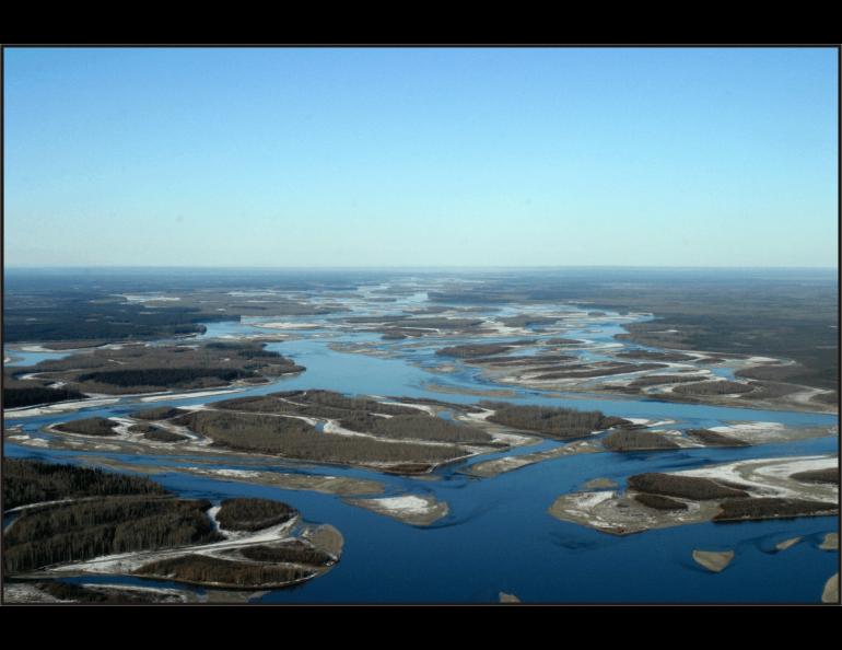 Yukon Flats — a portion of the Yukon River between the towns of Circle and Fort Yukon — where many whitefish spawn. Photo by Randy Brown.