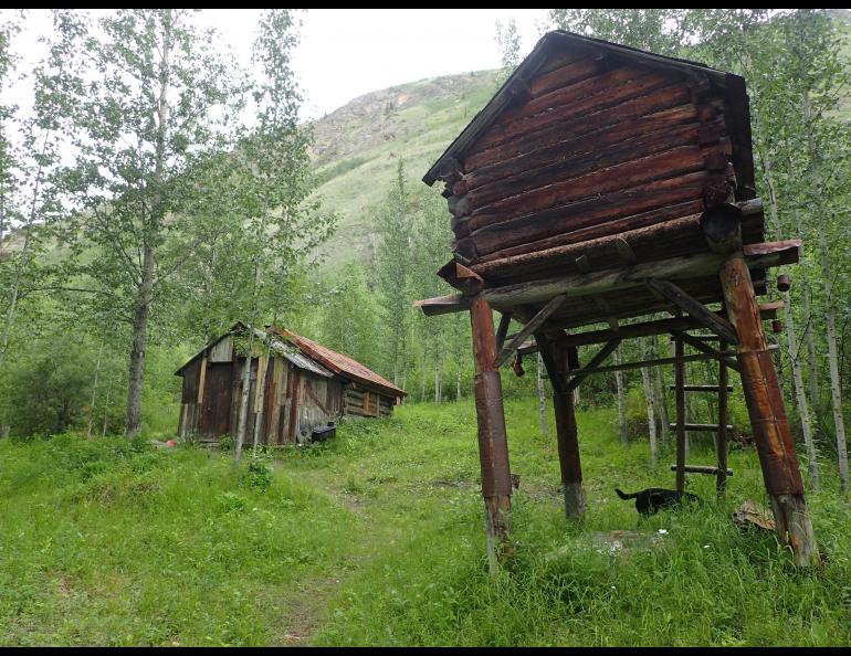 A cache, at right in photo, is an elevated structure northerners use to keep food and other supplies away from dogs and wild animals. Ned Rozell photo.
