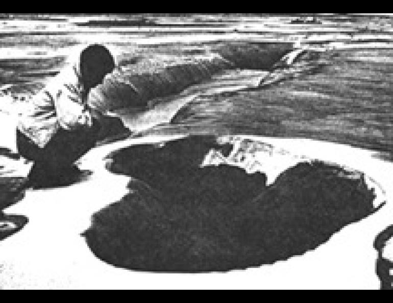 Bush pilot Donald E. Vent inspects a crater left by a sandblow near Yakutat. Flooding of the area during the eruption of the sandblows has coated the areas with a layer of silt and sand, including the fissure just beyond the sandblow.