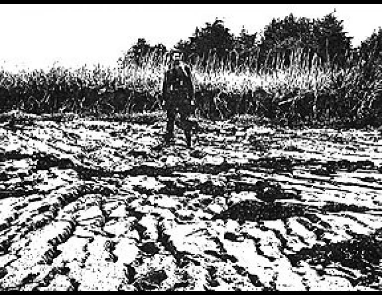 The beach remaining near where the top of Khantaak Island slid into the sea also fell a few feet and was left heavily fissured.