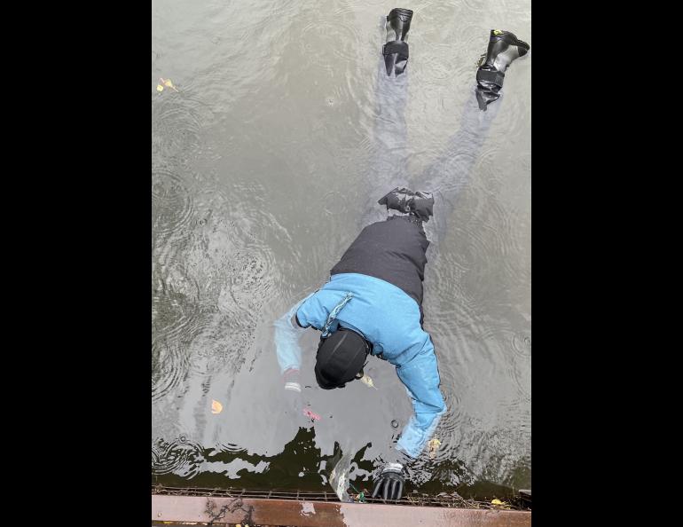 Raven Dawson floats in a dry suit in September 2025 as he attempts to photograph tiny king salmon within a culvert that leads from a slough to the upper Chena River. Photo by Ned Rozell.