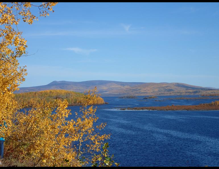 A view of Minto Flats in September 2014. Photo by Ned Rozell.