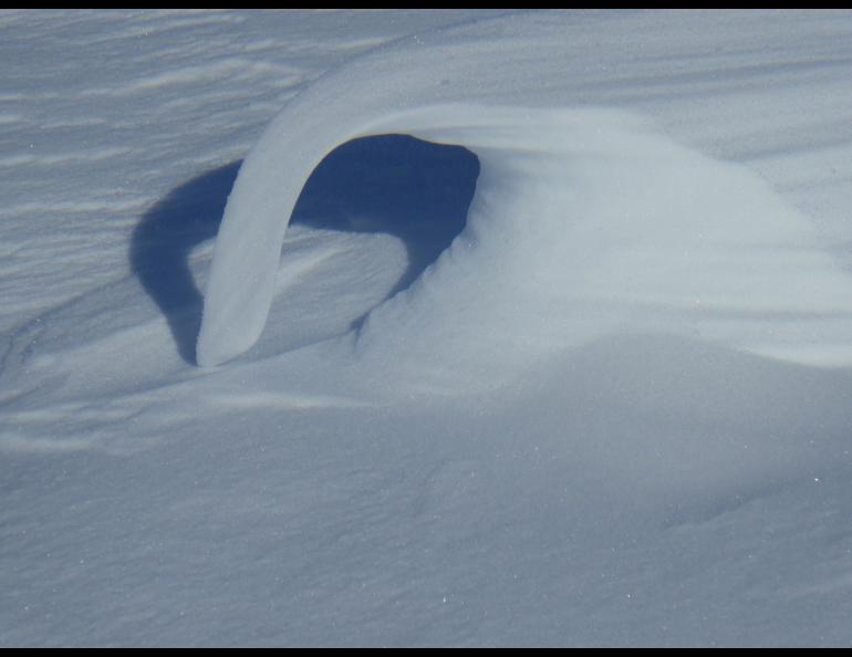 A snow drift that shows the effect of sintering after winds bashed around the crystals. Photo by Matthew Sturm.