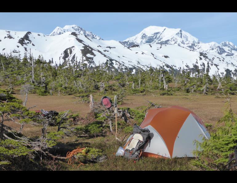 Dan Mann’s tent site on a plateau north of Lituya Bay that has risen 1,500 feet from the sea in the last 40,000 years. Photo by Ned Rozell.