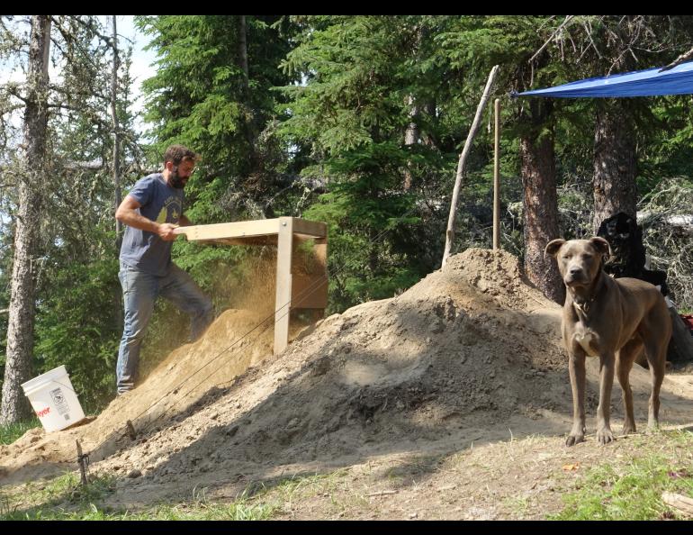 University of Alaska Anchorage archaeologist Gerad Smith sifts through soil troweled from a site on top of Hollembaek Hill in Delta Junction. His dog Blue looks on. Photo by Ned Rozell.