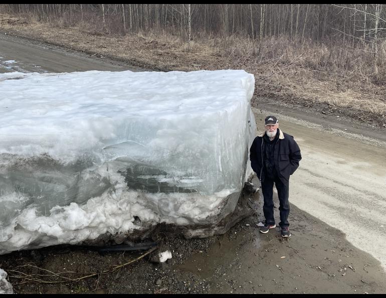 Eagle resident Steve Hamilton stands next to a block of Yukon River ice that the river lifted onto a road there on May 12, 2023. Photo by Ned Rozell.