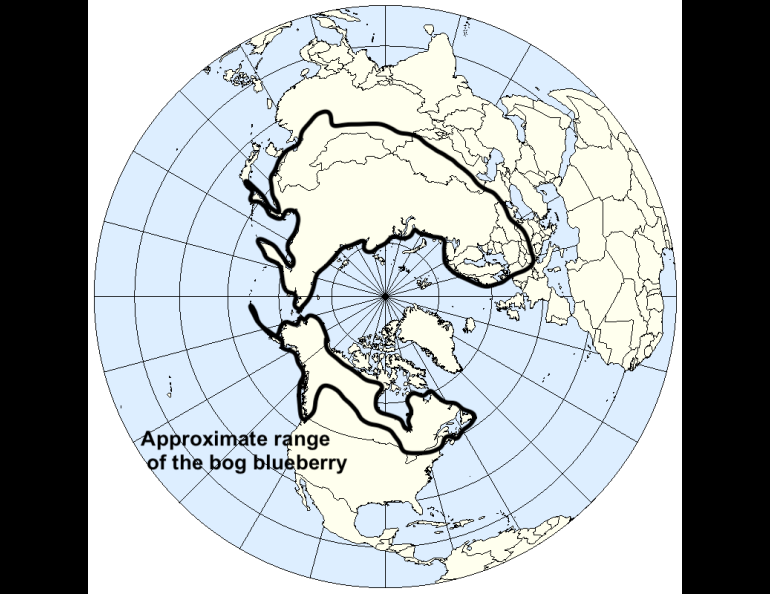 The approximate range of the bog blueberry on Earth, drawn on a base map that was produced by Sean Baker.