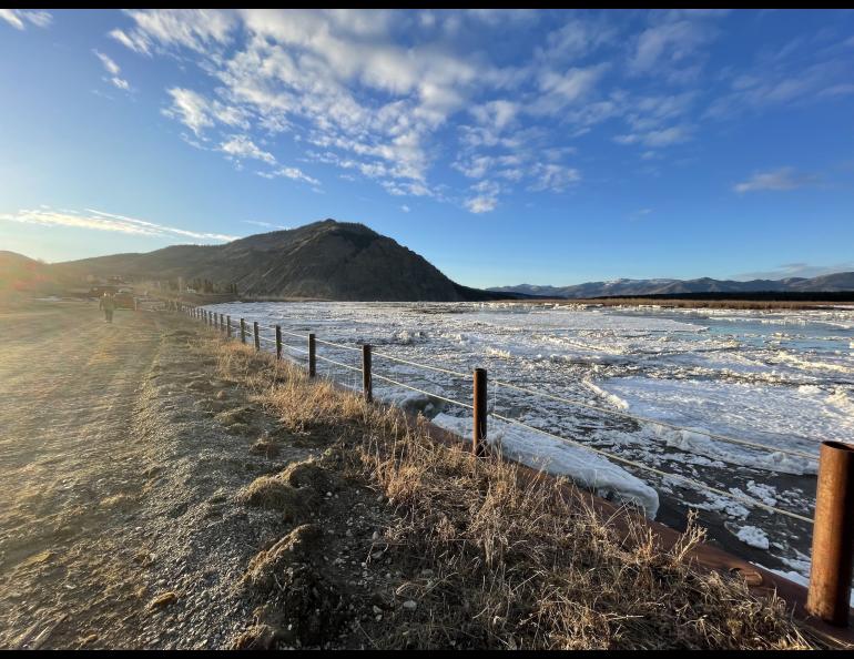 Yukon River ice flows past the metal fence that marks the top of the seawall in Eagle, Alaska on the evening of May 12, 2023, a few hours before the ice overtopped the wall. Photo by Ned Rozell.