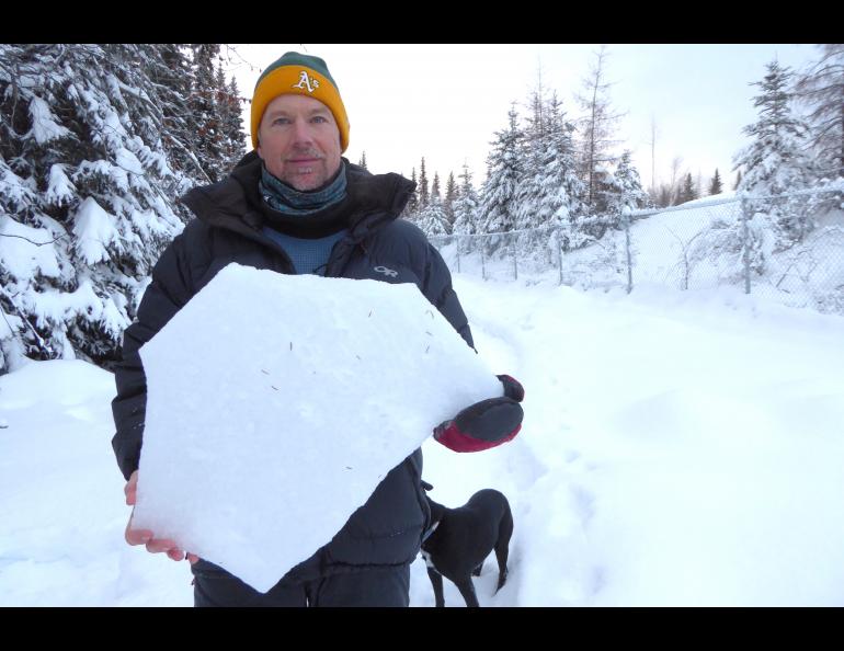 Ned Rozell holds a shard of ice crust, one-inch thick, that lurks in the middle of the Fairbanks snowpack. Photo by Kristen Rozell.
