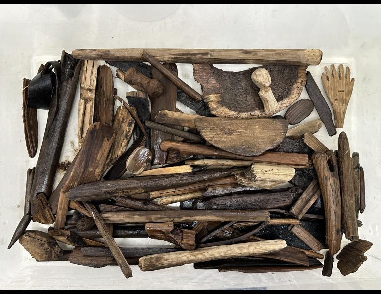 This tub of artifacts includes a human figurine, labrets, bentwood bowl fragments, a leather strap that may have secured footwear or a snowshoe, gaming darts and other items people found on the beach outside Quinhagak in late October 2025. Photo by Alice Bailey.