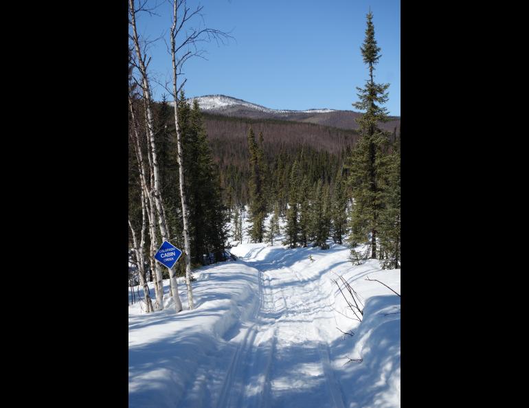  A valley in which the state of Alaska offers a rental cabin. Photo by Ned Rozell.