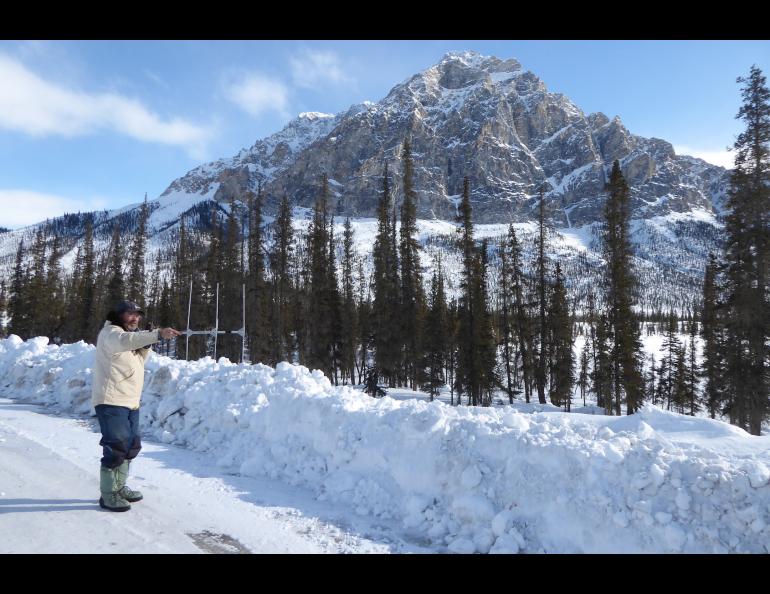 UAF ecologist Knut Kielland listens for a lynx he collared last year not far from Wiseman, Alaska. Mount Dillon, part of the Brooks Range, stands in the background. Photo by Ned Rozell.