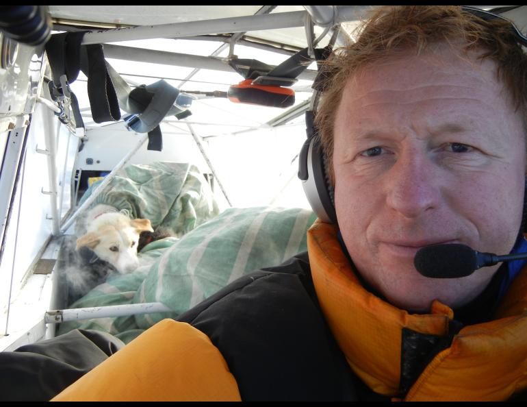Person in plane with dogs in background