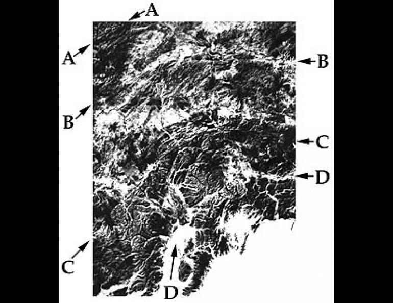 LANDSAT satellite view of portions of four of the major faults in Alaska. Endpoints labeled "A" indicate the Kobuk fault, those labeled "B" the Tintina, and those labeled "C" the Denali. The fault labeled "D" is principally the Castle Mountain in the eastern part of the image, but loses much of its identity as it curves down to the southwest.