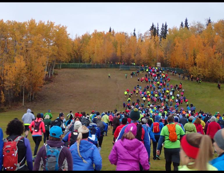 Runners ascend the old ski hill on the campus of the University of Alaska Fairbanks at the start of the 2015 Equinox Marathon. Photo by Ned Rozell.